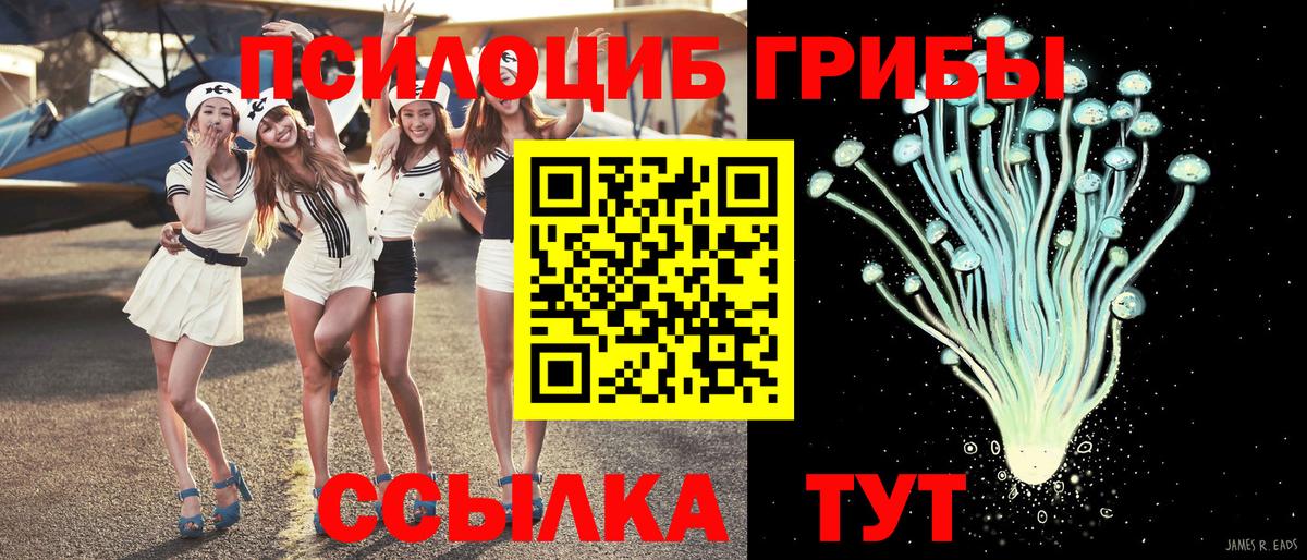 Галлюциногенные грибы Cubensis Ишим
