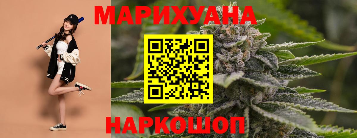 Конопля сатива Ишим
